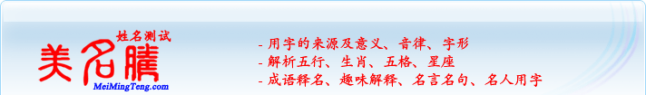 用字的來源及意義、音律、字形；五行、生肖、五格、星座；成語釋名、趣味解釋、名言名句、名人用字