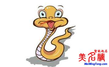 蛇,豬,龍,猴年八月財運到