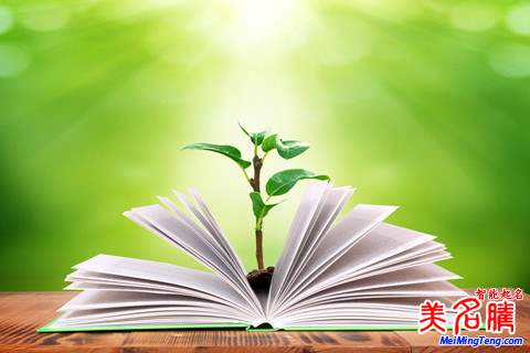 寶寶起名:男寶寶起名美名騰用字秘籍
