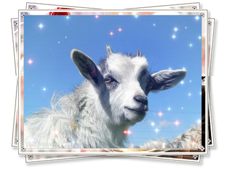 2015  羊?qū)殞毱鹈簩傺驗(yàn)槭裁磸牧⒋核闫穑? /></a>2015羊?qū)殞毱鹈簩傺驗(yàn)槭裁磸牧⒋核闫穑?源自美名騰智能起名網(wǎng)
問：2015年屬什么生肖? 2015年是什么年?
答：2015年生肖屬羊。2015年是農(nóng)歷乙未年（羊年）。
問：2015年立春是...</div>
							        <div style="height:5px; font-size:5px"></div>
							        <hr width="99%" style="text-align:center; border-style:dotted; border-width:0px; height:1px;" />
							        <div style="height:5px; font-size:5px"></div>
							    </div>
						        </td>
	</tr><tr style="border-width:0px;">
		<td valign="top">
						        <div style="padding-left:3px; padding-right:3px;line-height:180%">
							         <h3 style="padding:0px;margin:0px;display:inline;"><a id="ctl00_ContentPlaceHolder1_ShowMore1_dgNews_ctl12_HyperLink1" class="headline" href="/Message/ShowNews.aspx?NewsID=3502" target="_blank">2015羊?qū)殞毱鹈麑ｎ}：給羊?qū)殞毱饌€(gè)吉祥的好名字</a></h3>
							         <span id="ctl00_ContentPlaceHolder1_ShowMore1_dgNews_ctl12_Label1" style="color:Green;font-size:10pt;">2014/11/28 14:58:35</span>
							          <span style="color:Red;font-size:8pt;"></span>
							        <br />
							        <div style="padding-top:1px; width:95%; padding-left:8px; line-height:180%;color:#2f2f2f;font-size:14px;" ><a href=