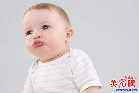 楊姓起名,楊姓屬狗男寶寶起名大全