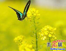 怎樣給自己起網(wǎng)名？