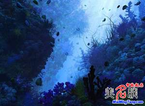 海底地名有了“中國(guó)名字” 命名來自《詩經(jīng)》或歷史人物