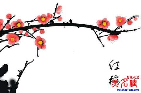 2018梅姓寶寶最詩(shī)意、最不凡的名字大全